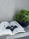 IMG_0386(1).webp